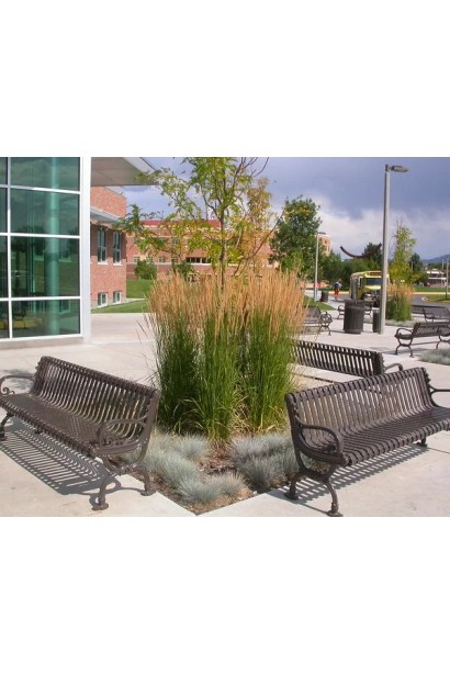 Вейник остроцветковый Овердам / Кунишник -